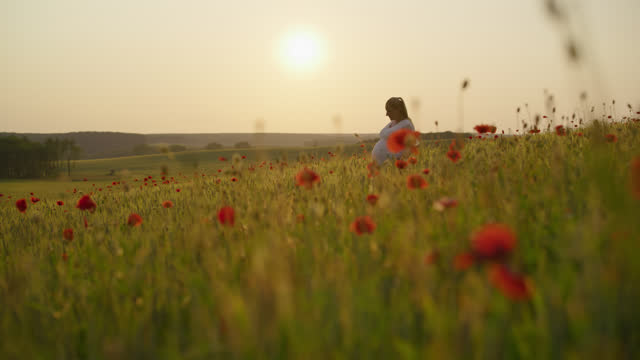 SLO MO TRACKING Side View of Pregnant Woman Walking on Green Poppy Wheat Field against Clear Sly during Sunny Day