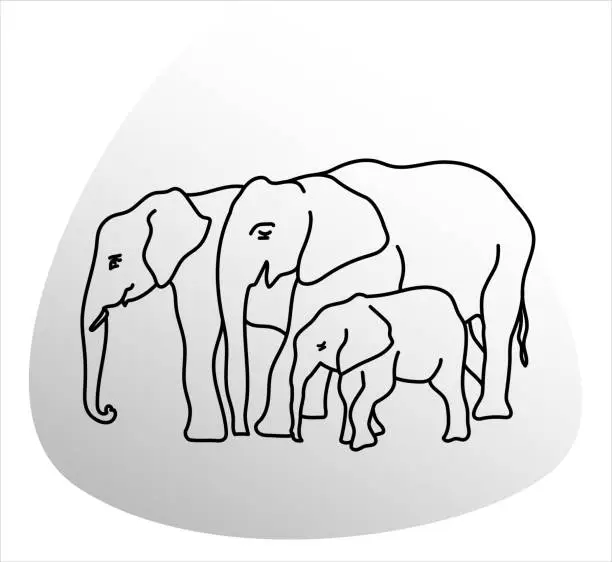Vector illustration of Elephant Family Grey