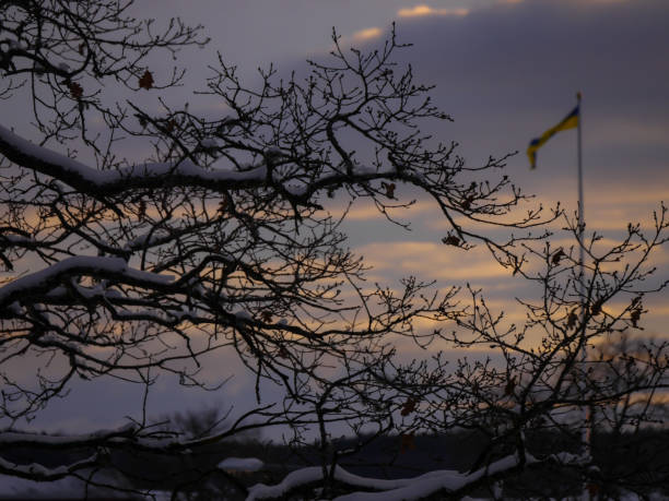 Low angle view of silhouette bare tree against sky during sunset