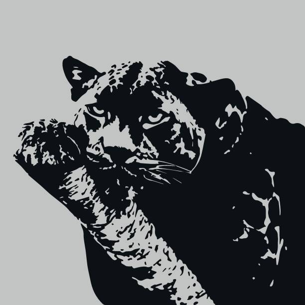 istock Artistic illustration of a grooming cat 1946268723