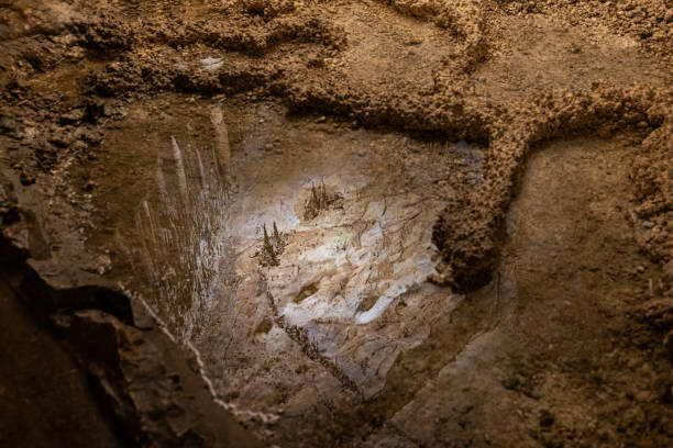 istock Stalactites inside the Lehman caves, Nevada 1946380857