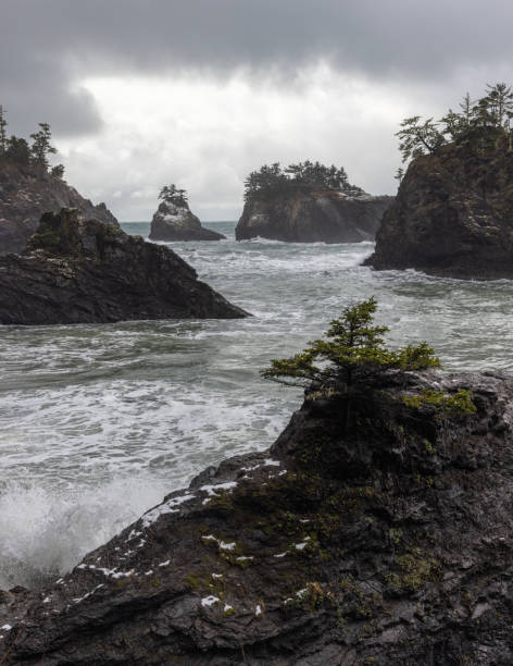 istock Secret Beach, Oregon with snow 1946383008