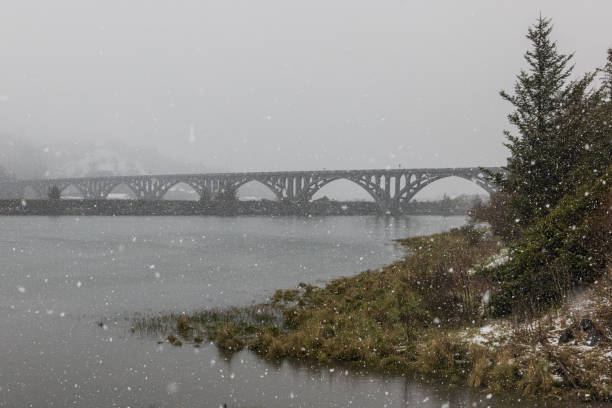 istock Isaac Lee Paterson Bridge in snow 1946386099