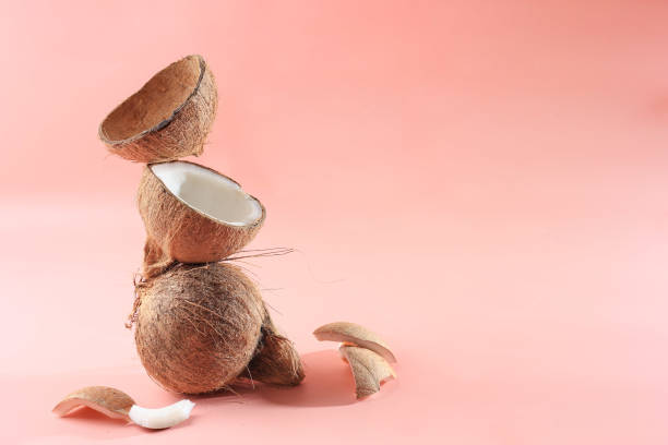 istock Old Brown Organic Coconut Fruit Copra Broken into Pieces and Stacked on Pink Background 1946427758