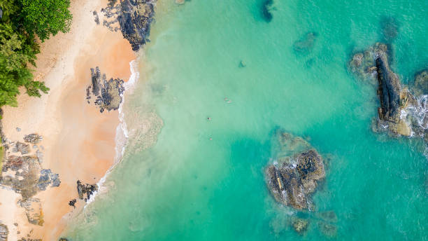 istock Top down view of a tropical beach and ocean (Andaman Sea) 1946435126