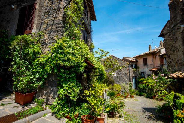 istock Town of Bracciano 1946452223