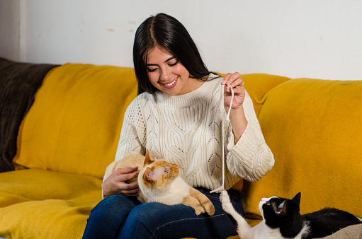 beautiful woman playing with cats on her living room