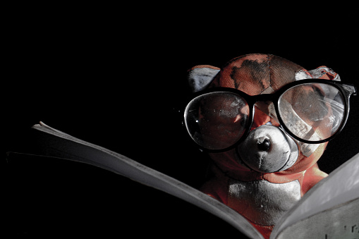 teddy bear wearing glasses to read a book