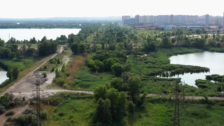 View from the drone flying over green ungroomed city meadow surrounded with ponds.