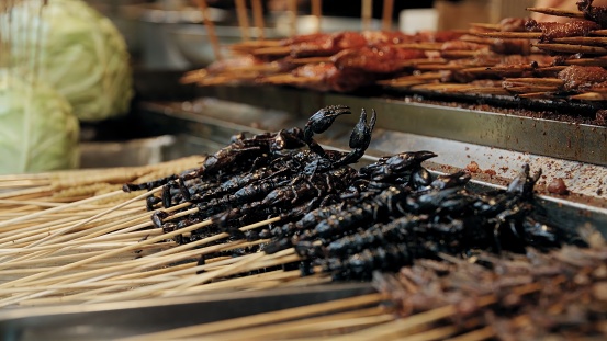 Experience the unique and enticing world of South Korean street food with layers of insects artfully arranged on sticks, displayed for sale in vibrant market stalls. These culinary creations showcase a fusion of tradition and innovation, inviting adventurous food enthusiasts to savor a crunchy and flavorful journey. Delight in the exotic textures and tastes of these carefully prepared insect layers, each stick offering a tantalizing glimpse into South Korea's rich street food culture, where bold flavors and daring presentations come together to create a truly unforgettable gastronomic adventure.
