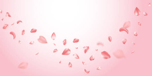 istock Pink rose petals and pink hearts will fall on abstract floral background. Rose petal greeting card background design. 1946604683