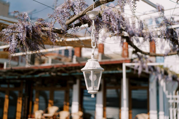 istock White chain lantern dangles from a pergola beam laced with purple wisteria 1946731804