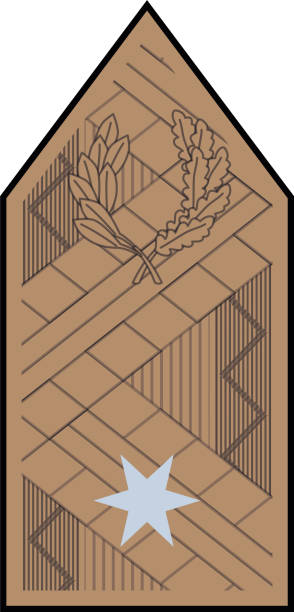 ilustrações de stock, clip art, desenhos animados e ícones de shoulder pad military officer insignia of the hungary dandártábornok (brigadier general) - solider major army saluting