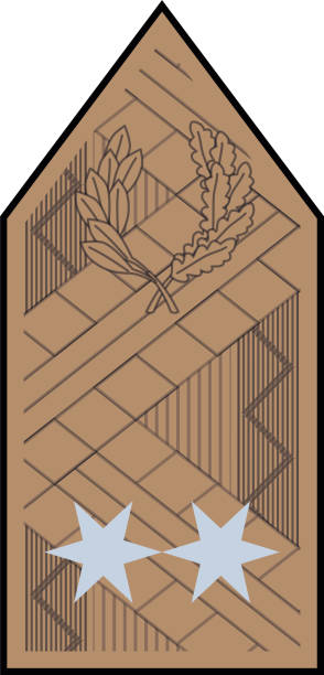 ilustrações de stock, clip art, desenhos animados e ícones de shoulder pad military officer insignia of the hungary vezérőrnagy (major general) - solider major army saluting