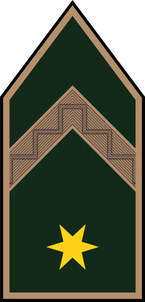 Vector illustration of Shoulder pad military officer insignia of the Hungary ZÁSZLÓS (WARRANT OFFICER)