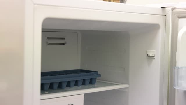 Refrigerator Door Opening Sequence