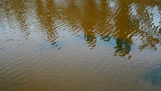 The water in a reservoir has small ripples, the brown surface forms a curved line pattern with the reflection of tree shadows from a distance.