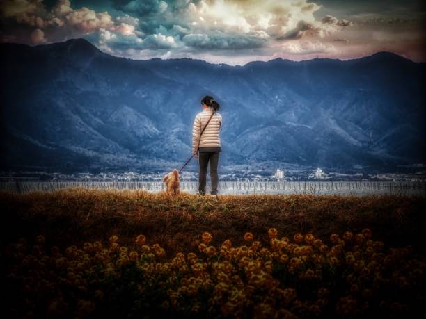 istock dog 458 Dog-walking 1946852814