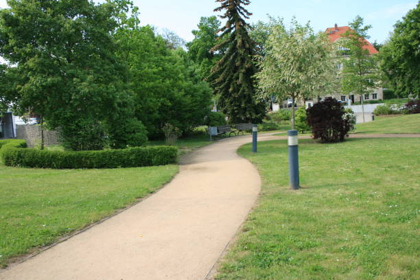 istock city, path, forest, grass, green, greenery, landscape, grass, leaf, leaves, light, meadow, natural, nature 1946873464