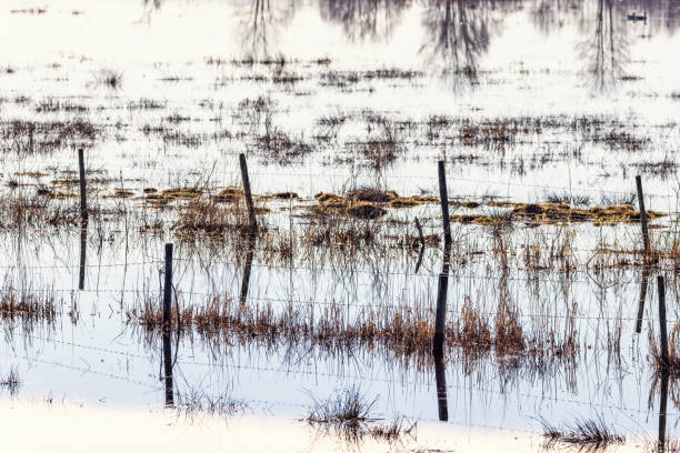 Meadow that is flooded by the spring flood