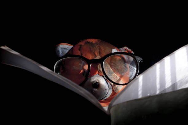 teddy bear wearing glasses is reading a book in low light