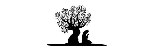 Jesus Christ is praying. Jesus Christ prays in the Garden of Gethsemane near the olive tree. hope god lighting technique tree stock illustrations