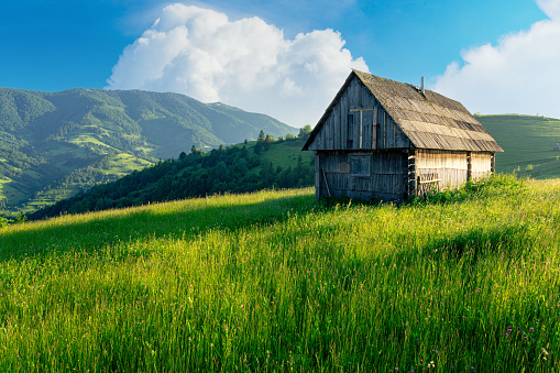 Gorgeous rural grassland in the Carpathian mountains. Ukraine. Rustic lonely wooden house on the green grass summer hill under the beautiful sky with clouds.