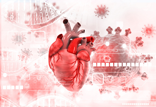 Human heart anatomy on scientific background. 3d illustration