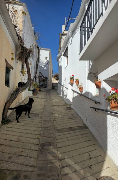 istock old village street 1946945145