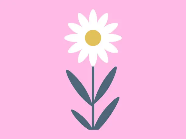 Vector illustration of Spring flower. The flowered fields were visual feast for eyes in spring