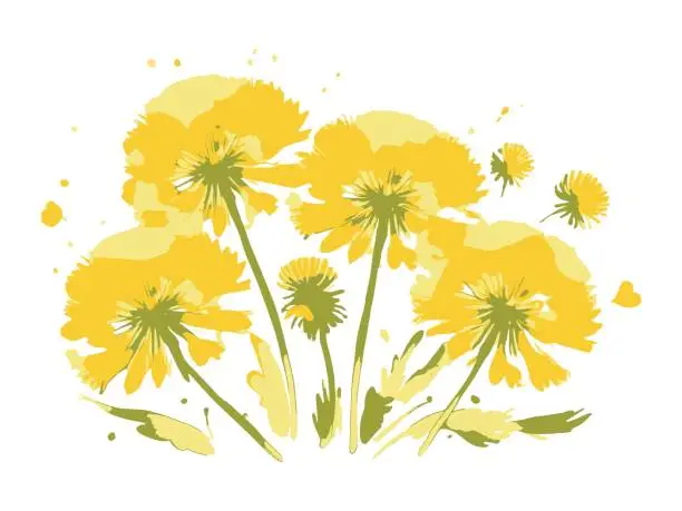 Vector illustration of illustration of a bouquet of yellow dandelions on a white background, greeting card