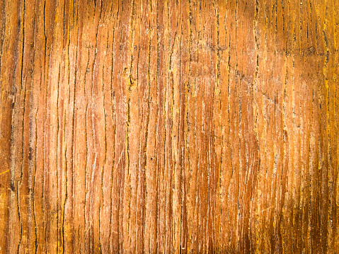 Rugged texture wood background