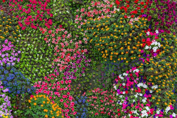 istock Flowers backgound in Bilbao, Spain 1946984993