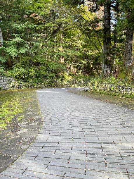 istock Cement brick tiled walkway in the park 1946996434