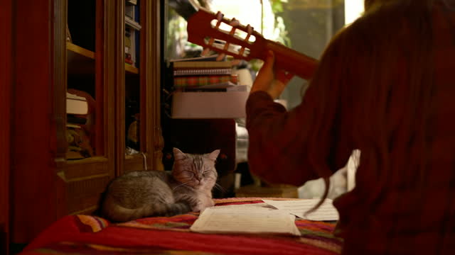 Home interior cat and girl studying to play guitar. Cinematic