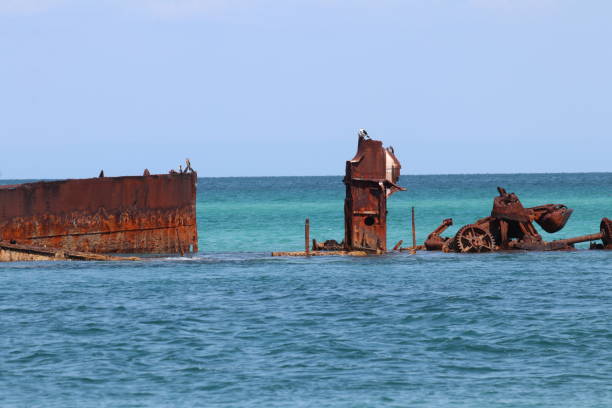 istock moreton island tangalooma wrecks 1947062293