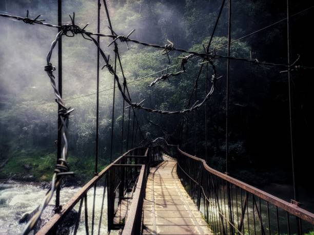霧の日には吊り橋が水面を渡る - suspension bridge 写真 ストックフォトと画像