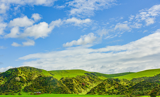Spring pasture landscape in Kaikoura, New Zealand