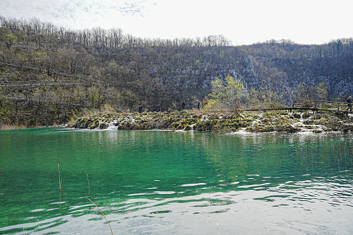 Calm river in the forest in sunny day