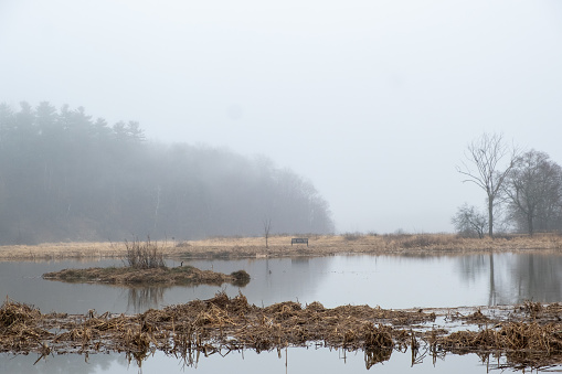 A lonely bench sits at the edge of a lake with reflections of the trees in the lake surface. Fog and mist cloud the background