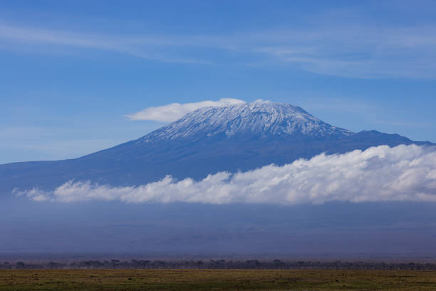 african savannah with mount kilimanjaro in background