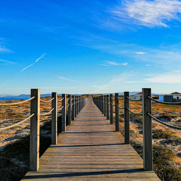 istock Camino. Wooden bridge. Path. Portugal 1947251832
