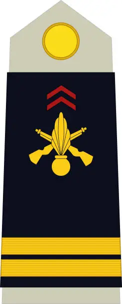 Vector illustration of Shoulder pad military officer insignia of the France LIEUTENANT