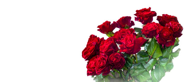 istock Bouquet of roses. 1947271233