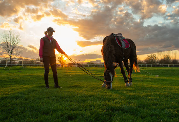istock Woman and her horse on a sunset 1947277566