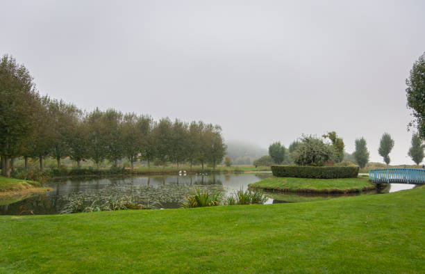 Tranquil pond nestled amidst vibrant green vegetation in bedford, england, capturing the essence of a peaceful summer day
