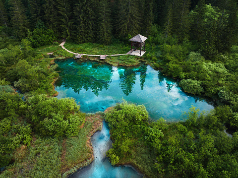 Lake Zelenci surrounded by trees. Aerial view.