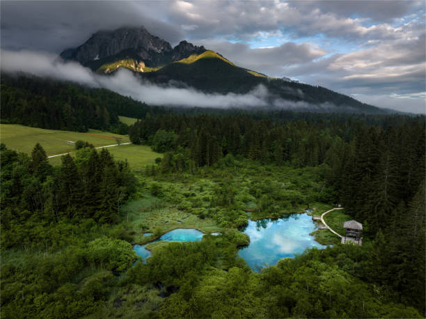 Lake Zelenci surrounded by trees and mountains. Aerial view.