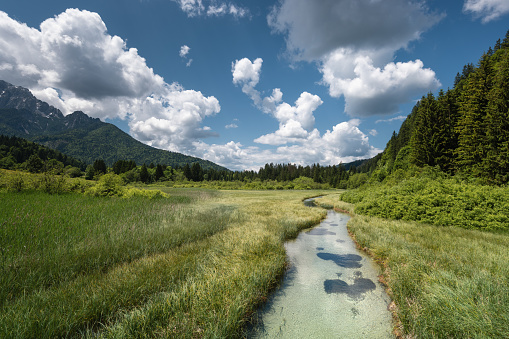 Idyllic mountain landscape with river (Zelenci natural reserve).