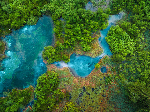 Central Texas hill country River Channels of Paradise colorful clear cold springs waters of Cold Springs , Texas. Near Concane and the Frio , River